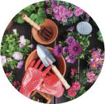 Grow Garden