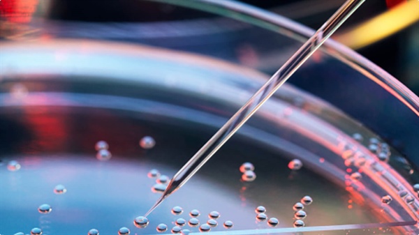 In the Future? Stem Cell Patch for Vision Loss Shows Some Success in Clinical Trial